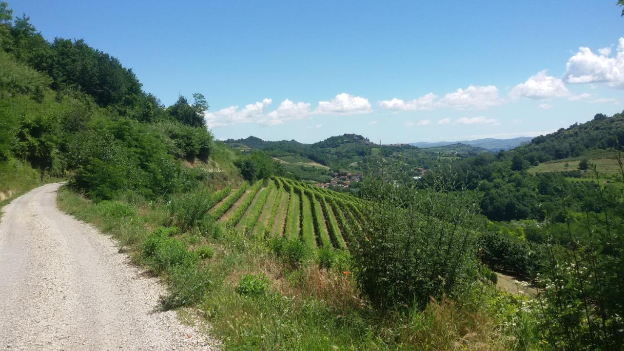 La Collina Dei Passeri Bed & Breakfast Pocapaglia Exterior photo