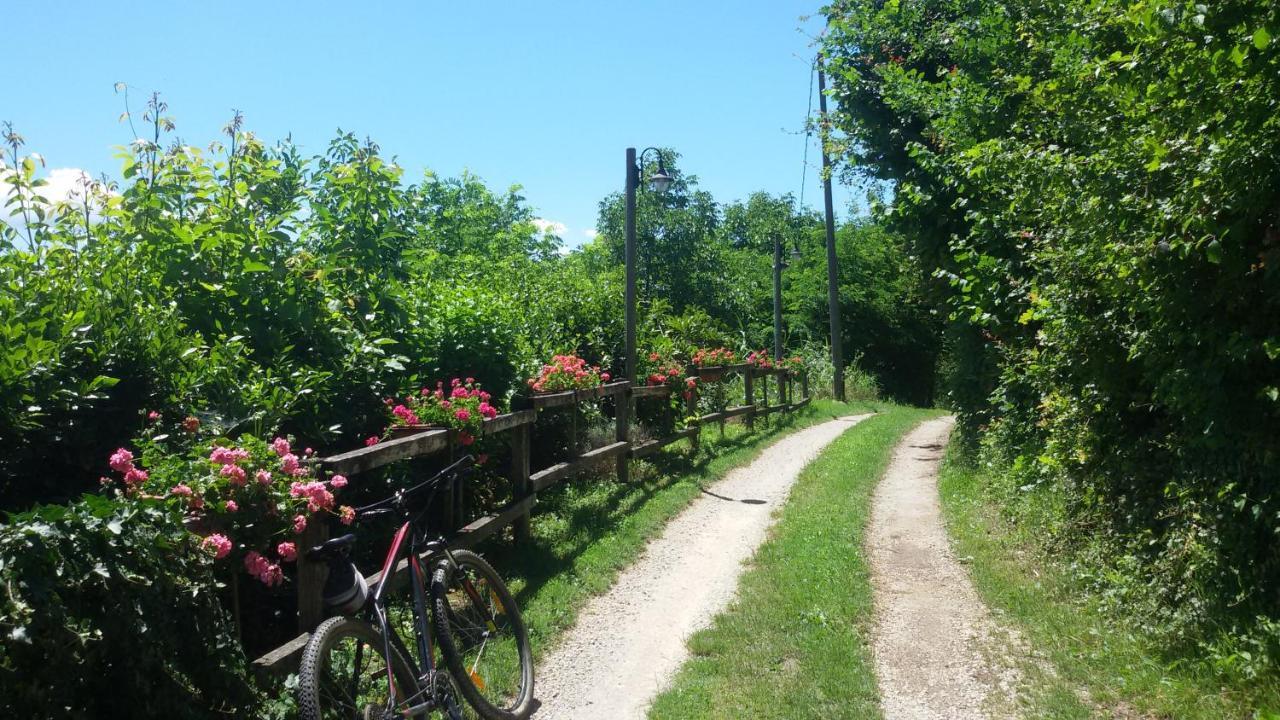 La Collina Dei Passeri Bed & Breakfast Pocapaglia Exterior photo